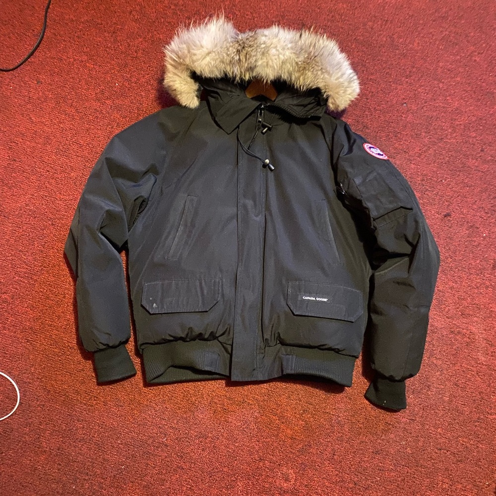 Canada goose bomber